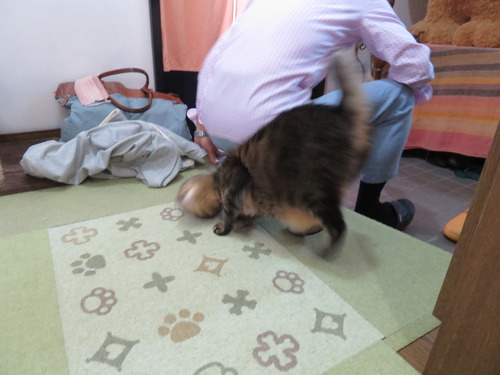 お見送り
