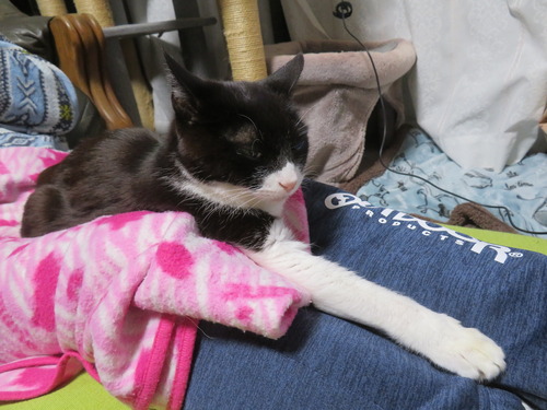 ���������­