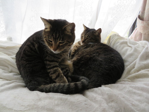 なな&たく