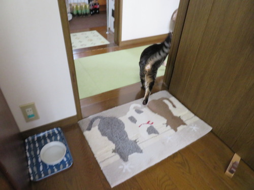 ウロウロ中