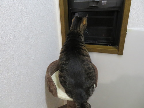 首長くして