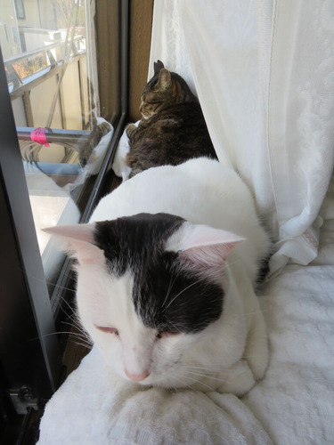 たく&かい