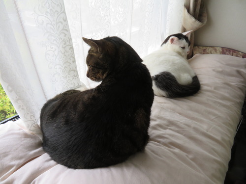 たく&かい