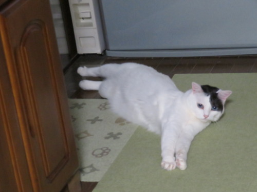 見つけた