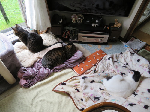 なな&たく&かい