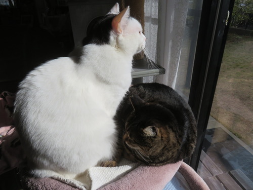 �ʤʡ�����