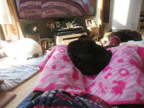 ������������