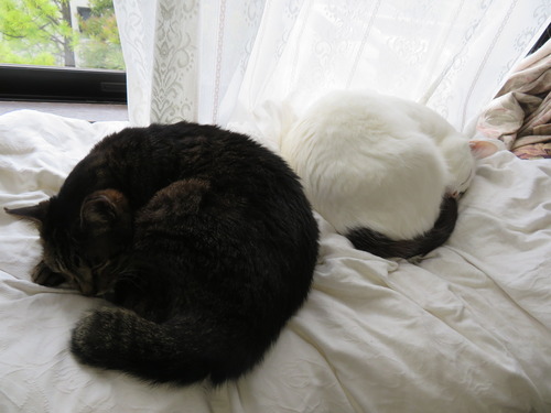 1たく&かい