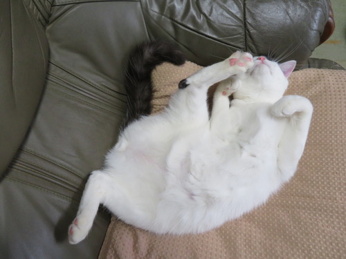眠くなって