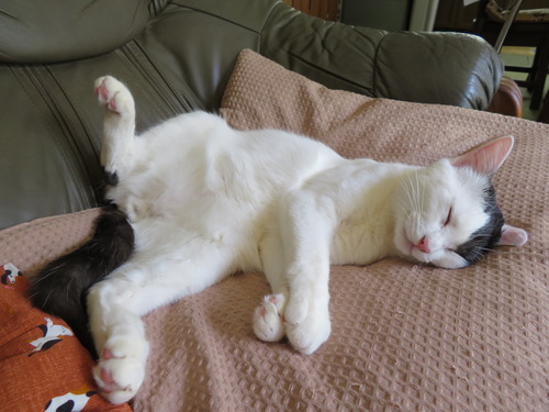 眠く
