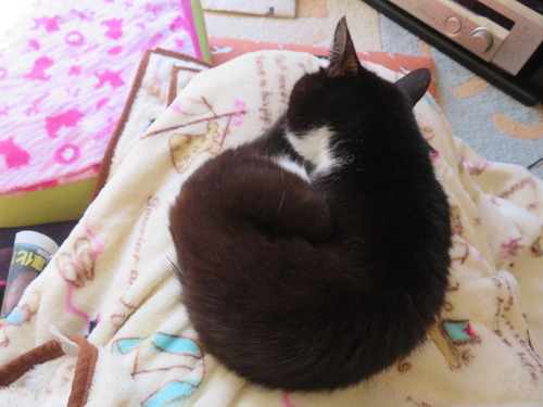 ���å���