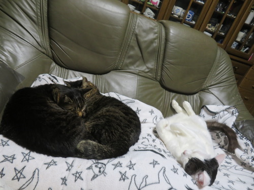 ���ե���