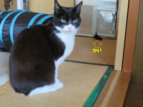 行っちゃったね