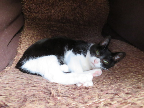 2020ǯ530礦Υ٥åȤ