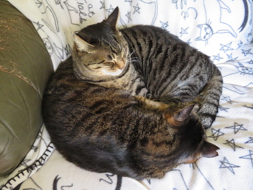 なな&たく
