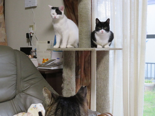 2019ǯ124饿ءˡɤʤʤߡ