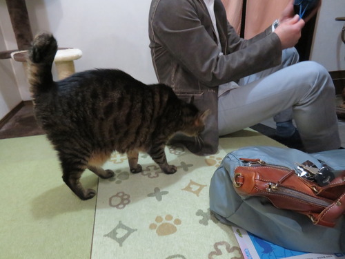 お帰りなさい