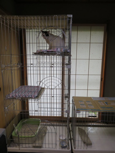 3階建て
