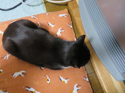 近すぎ