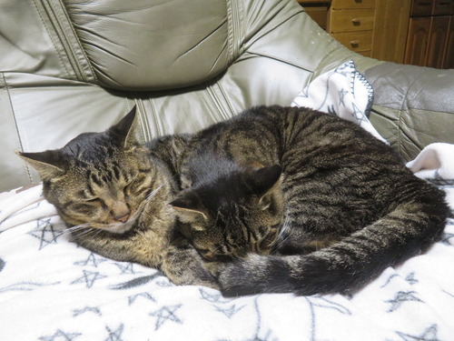 �ʤʡ�����