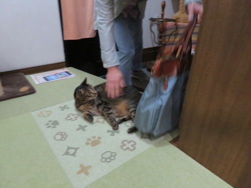 ただいま