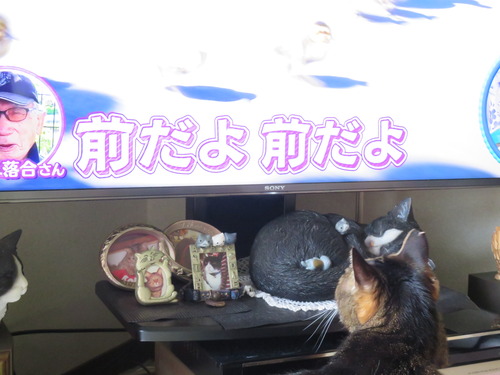 夕方