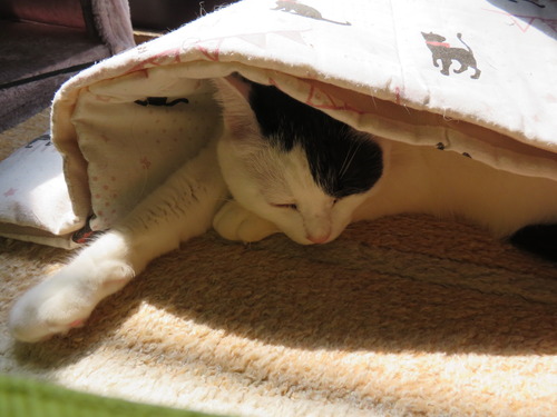 眠くなって
