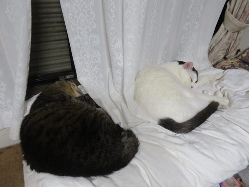たく&かい