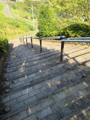 Ĺ������