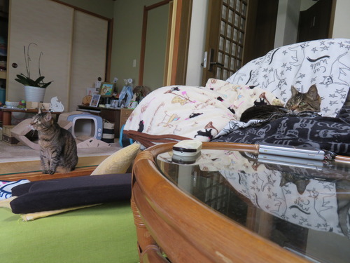 ”なな&たく”