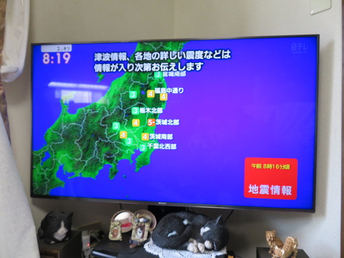 揺れ