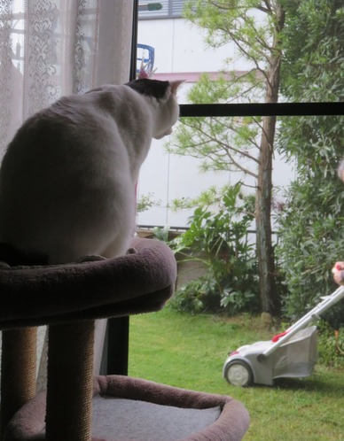 ���������𴢤�