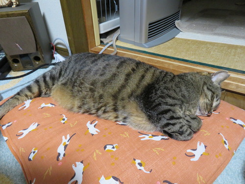 たくみ