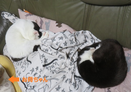 ���ե��Ǥ���������