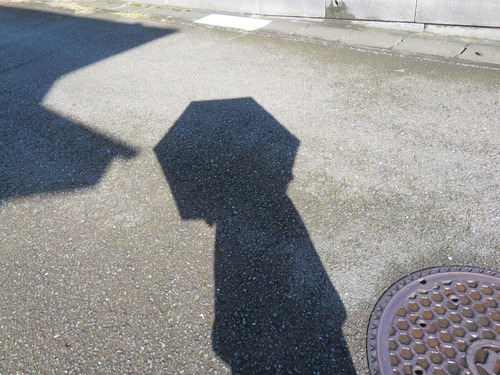 �ۤ���������