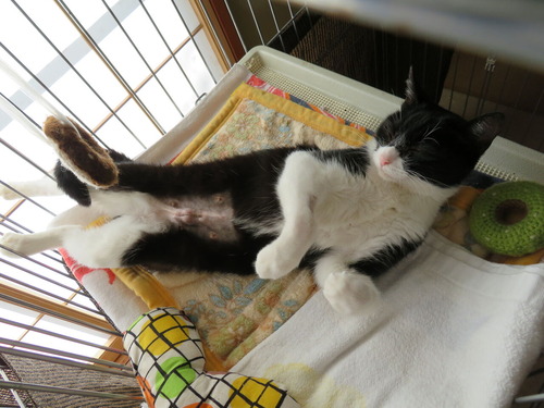 2019ǯ1112(8ѡ˽ѸΤؤŷפˡ