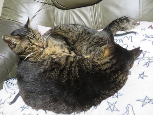 �ʤʡ�����