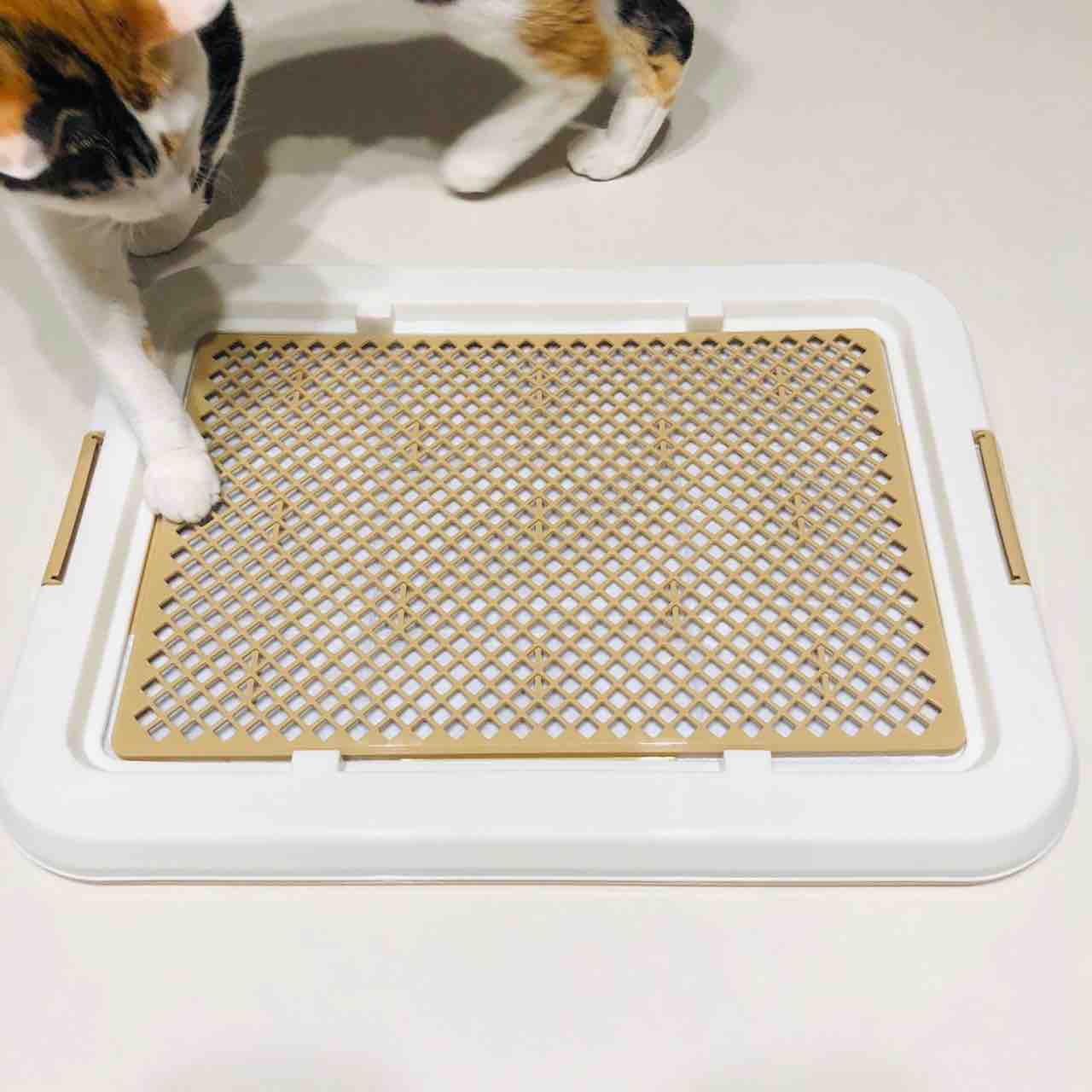 ダイソー ペットトレー 犬用トイレ 400円 おっとり夫と気まぐれ妻のi Smart Life 一条工務店 ダイソー ペットトレー 犬用トイレ 400円 おっとり夫と気まぐれ妻のi Smart Life 一条工務店