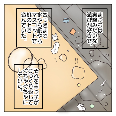 4E276086-E9DA-427E-8E03-7CA20B81B9DE