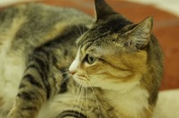 IMG_0001