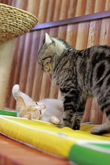 IMG_9482_edited-1