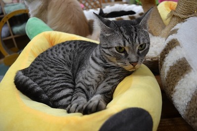 0F649A01-A231-41CF-8864-FCFF103B077F