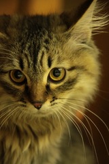 IMG_0397