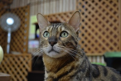 AC4B3F65-A4D3-4401-9EF3-B1A8CCCF5A5F