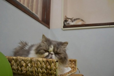 297CDD09-2852-4895-B0E0-7CC1931AFD5D