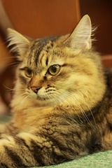 IMG_9348