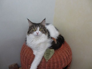 172