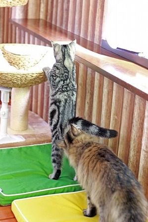 IMG_3679_edited-1