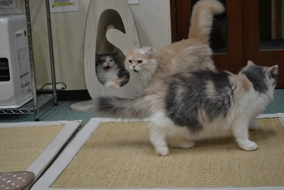 0C52662D-B4BB-44E6-A8C0-8EEDC4C5286D