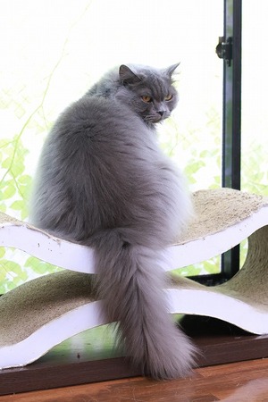 2023 01 04_nekomanma_5756